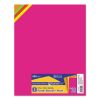 Royal Brites Premium Coated Poster Board, 11 X 14, Assorted Neon Colors, 5/Pack -SAFAVIEH Shop 263216