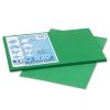 Pacon Tru-Ray Construction Paper, 76 Lb Text Weight, 12 X 18, Holiday Green, 50/Pack 2 Pacon Tru-Ray Construction Paper, 76 Lb Text Weight, 12 X 18, Holiday Green, 50/Pack -SAFAVIEH Shop 80635
