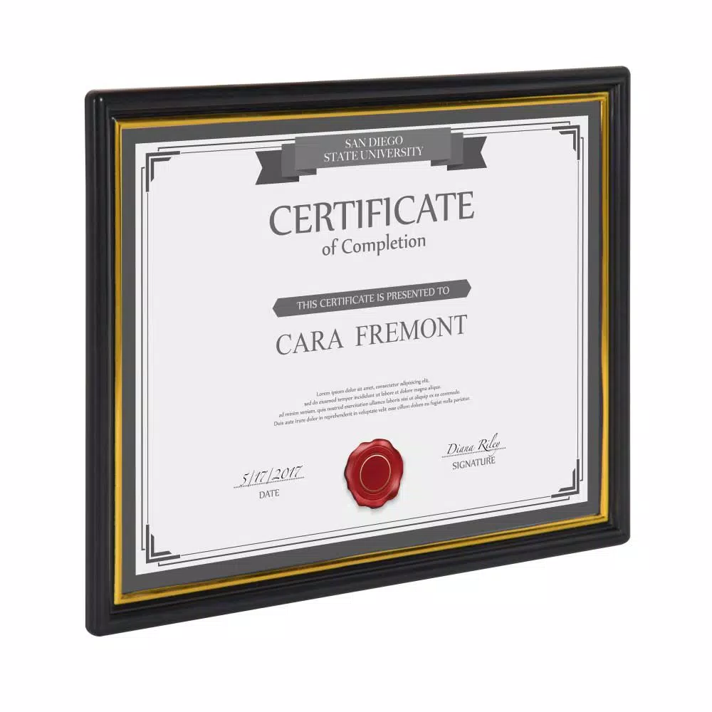 DesignOvation Corporate Document 8.5 In. X 11 In. Black Picture Frames (Set Of 12) 5 DesignOvation Corporate Document 8.5 In. X 11 In. Black Picture Frames (Set Of 12) - Image 3