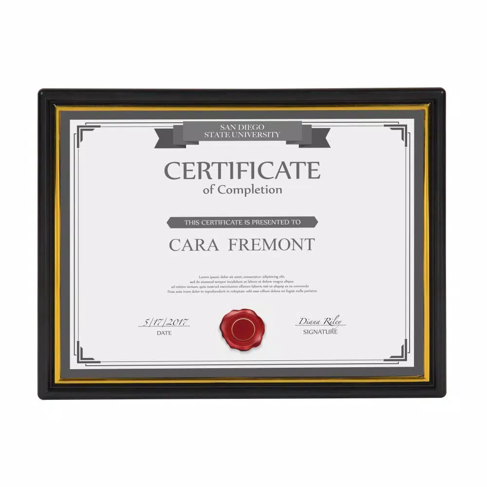 DesignOvation Corporate Document 8.5 In. X 11 In. Black Picture Frames (Set Of 12) 4 DesignOvation Corporate Document 8.5 In. X 11 In. Black Picture Frames (Set Of 12) - Image 2