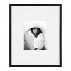 Picture Frames DesignOvation Gallery 16 In. X 20 In. Matted To 8 In. X 10 In. Black Picture Frame 1 Picture Frames DesignOvation Gallery 16 In. X 20 In. Matted To 8 In. X 10 In. Black Picture Frame -SAFAVIEH Shop black designovation picture frames 216721 64 1000