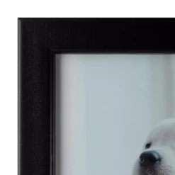 Picture Frames Pinnacle 6-Opening 11 In. X 14 In. Picture Frame -SAFAVIEH Shop black pinnacle picture frames 09fw1038c 44 1000