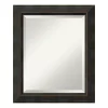 Mirrors Amanti Art Signore 21 In. W X 25 In. H Framed Rectangular Bathroom Vanity Mirror In Bronze -SAFAVIEH Shop bronze amanti art mirrors dsw3572563 64 1000