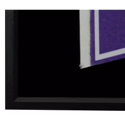 Picture Frames Pinnacle Pennant Display Case 13.7 In. X 7.7 In. Black Picture Frame 10 Picture Frames Pinnacle Pennant Display Case 13.7 In. X 7.7 In. Black Picture Frame -SAFAVIEH Shop clear pinnacle picture frames 17fw1661 1f 1000