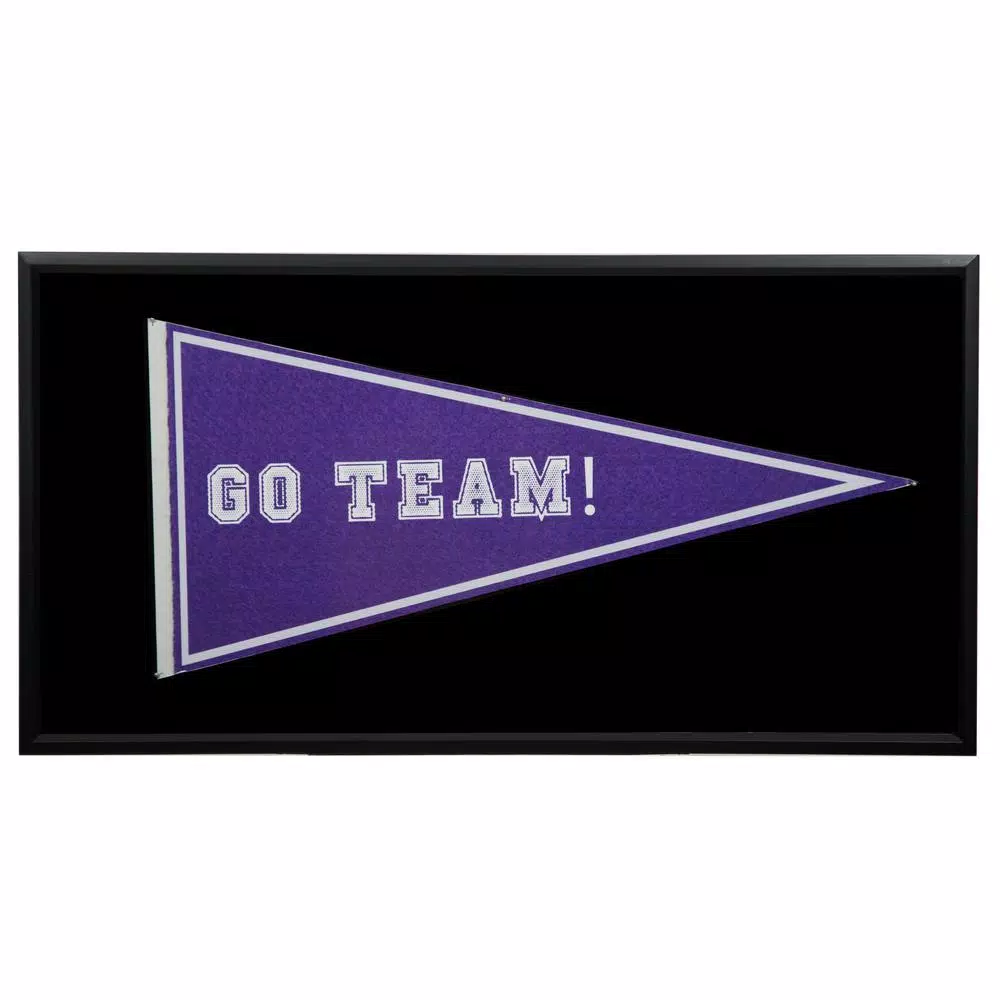 Picture Frames Pinnacle Pennant Display Case 13.7 In. X 7.7 In. Black Picture Frame 4 Picture Frames Pinnacle Pennant Display Case 13.7 In. X 7.7 In. Black Picture Frame - Image 2