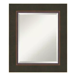 Mirrors Amanti Art Milano 23 In. W X 27 In. H Framed Rectangular Bathroom Vanity Mirror In Dark Bronze -SAFAVIEH Shop dark bronze amanti art mirrors dsw3572573 1f 1000