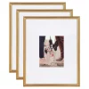 Kate And Laurel Adlynn 16 In. X 20 In. Matted To 8 In. X10 In. Gold Picture Frames (Set Of 3) -SAFAVIEH Shop gold kate and laurel picture frames 216959 64 1000