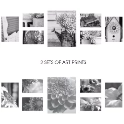 Picture Frames Pinnacle Gallery 4 In. X 6 In., 5 In. X 7 In., 8 In. X 10 In. Graywash Picture Frame (Set Of 7) 16 Picture Frames Pinnacle Gallery 4 In. X 6 In., 5 In. X 7 In., 8 In. X 10 In. Graywash Picture Frame (Set Of 7) -SAFAVIEH Shop gray pinnacle picture frames 17fw2315 76 1000