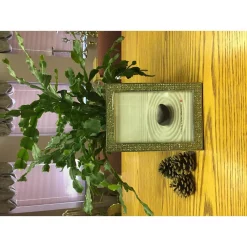 Picture Frames Heim Concept Chrome Pl. 4 In. X 6 In. Bling Border Picture Frame -SAFAVIEH Shop metal heim concept picture frames 81214 31 1000