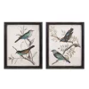 Picture Frames IMAX Picture Frame Maisly Bird Wall Decor -SAFAVIEH Shop multi color imax picture frames a0219210 64 1000
