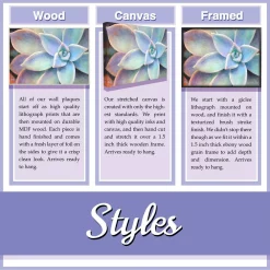 Wall Signs Stupell Industries 10 In. X 15 In. “Always Be A Dinosaur Brachiosaurus” By Daphne Polselli Printed Wood Wall Art -SAFAVIEH Shop multi colored stupell industries wall signs brp 1997 wd 10x15 1f 1000