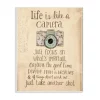 Wall Signs Stupell Industries 12.5 In. X 18.5 In. “Life Is Like A Camera Inspirational” By Katie Doucette Printed Wood Wall Art -SAFAVIEH Shop multi colored stupell industries wall signs mwp 144 wd 13x19 64 1000