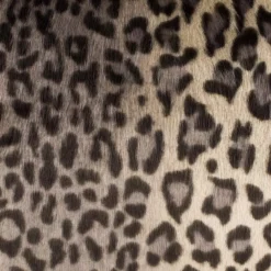 Throw Pillows Safavieh Faux Black Leopard Down Alternative Standard Throw Pillow -SAFAVIEH Shop safavieh throw pillows pls722a 2020 c3 1000