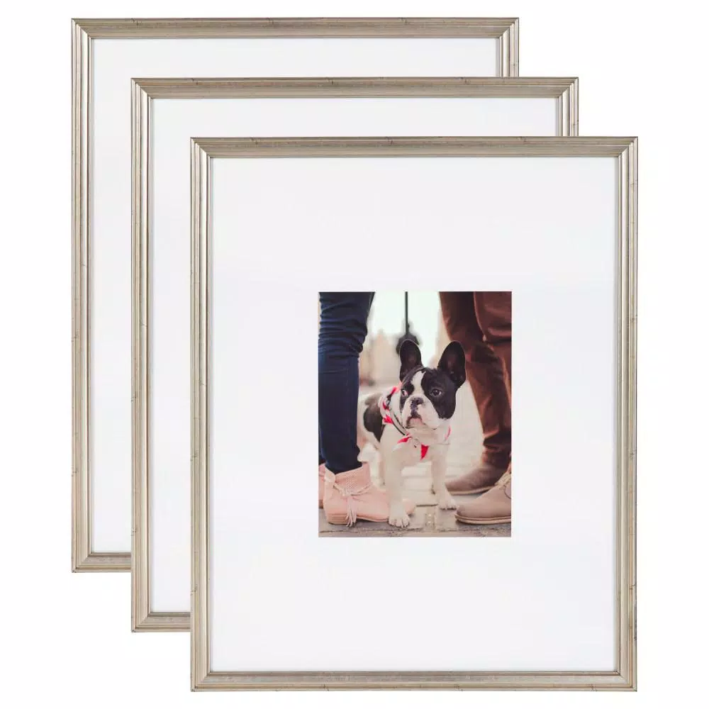 Kate And Laurel Adlynn 16 In. X 20 In. Matted To 8 In. X10 In. Silver Picture Frames (Set Of 3) 3 Kate And Laurel Adlynn 16 In. X 20 In. Matted To 8 In. X10 In. Silver Picture Frames (Set Of 3)