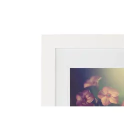 Picture Frames Pinnacle 7-Opening Matted Picture Frame -SAFAVIEH Shop white pinnacle picture frames 13fw2901e 44 1000