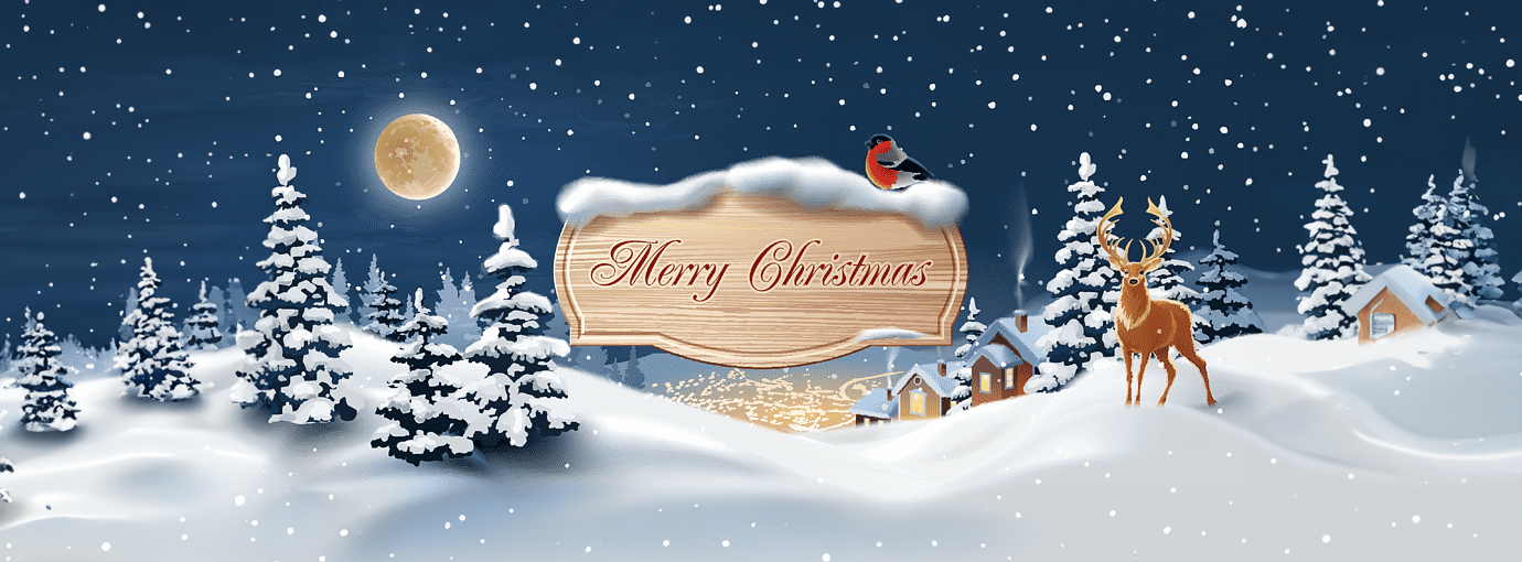 Front Page -SAFAVIEH Shop 47